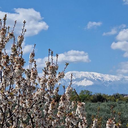 Treglio Il Ciliegio旅馆 外观 照片