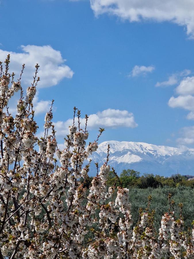 Treglio Il Ciliegio旅馆 外观 照片